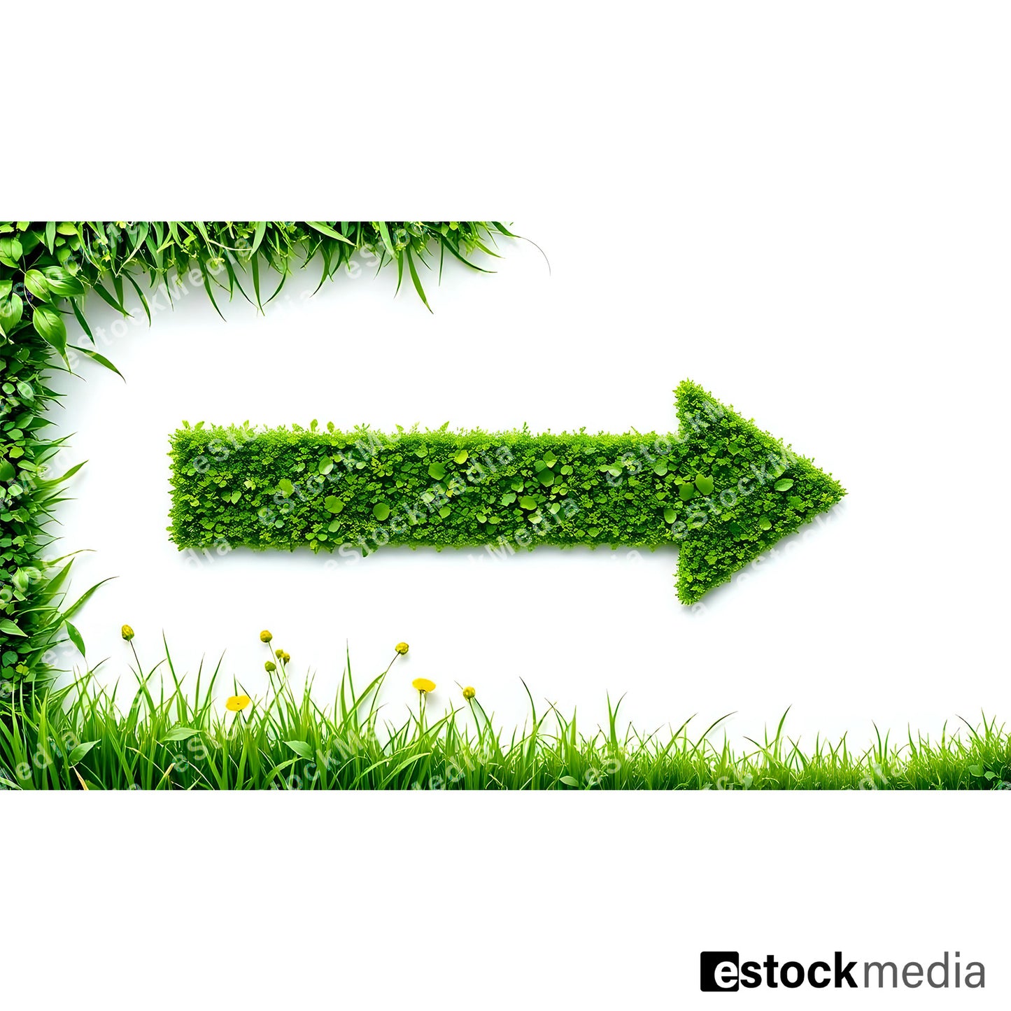 Bold arrow shape formed entirely from dense green leaves and moss pointing right on clean white background with lush green foliage border on left and top edges and fresh grass strip with small yellow wildflowers along the bottom