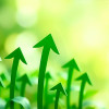 Green-Eco