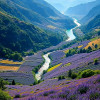 Landscapes