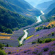 Landscapes