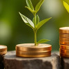 Finance and Investments